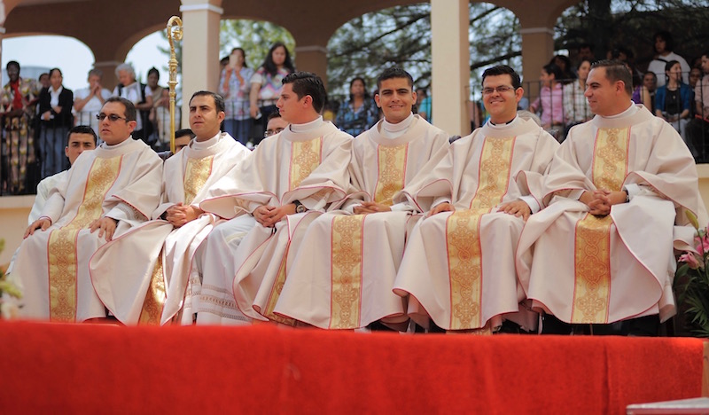 Hay 12 nuevos sacerdotes en la Diócesis de San Juan de los Lagos - El Río