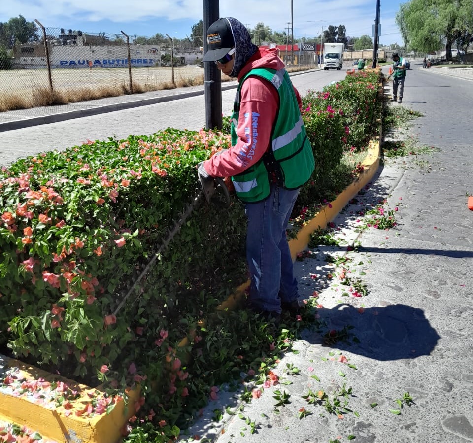 Embellecen Reas Verdes En Principales Vialidades De La Ciudad